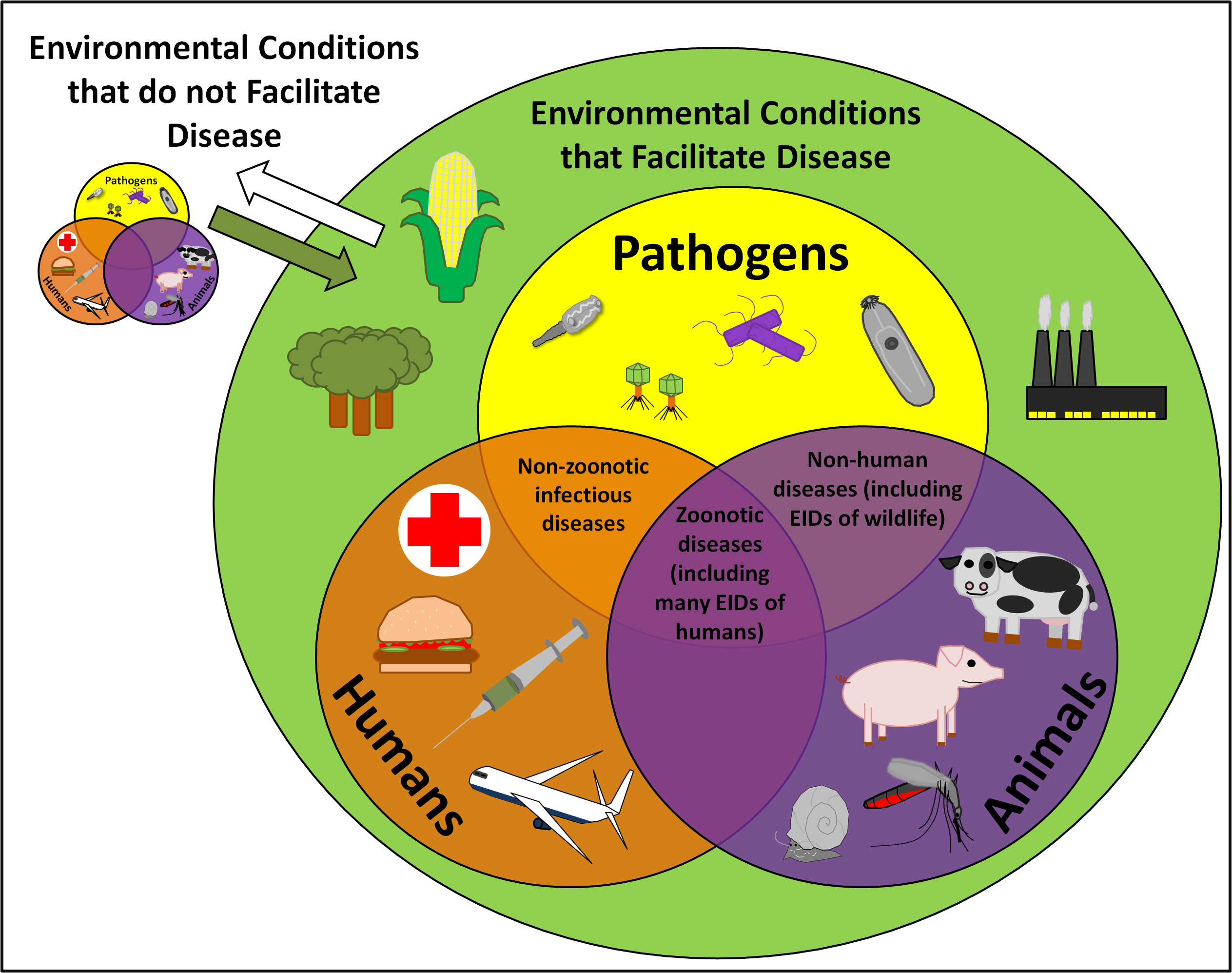 The Disease Triangle and the One Health Concept | Parasite Ecology
