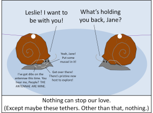 SnailTethers