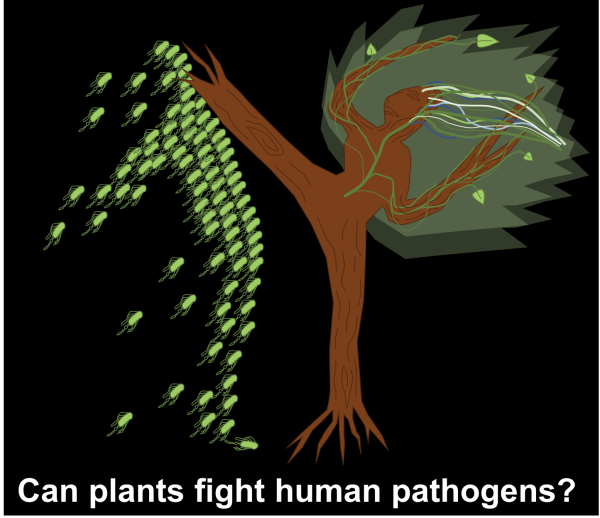 PlantsFightPathogens